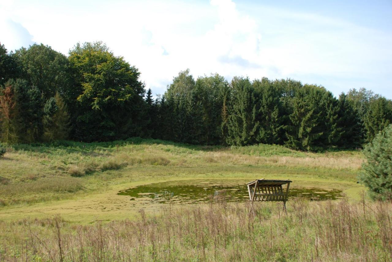 푸텐 Charmant Chalet Op Een Bospark Op De Veluwe 빌라 외부 사진
